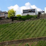 1805F 015 Villen Luxemburg